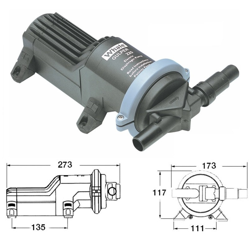 Pompa Whale Gulper 220 per scarico doccia e acque nere 24V