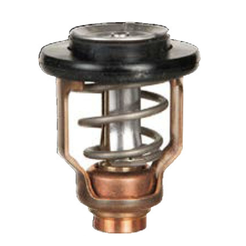 Termostato Yamaha (Rif. or. 67F-12411-01)