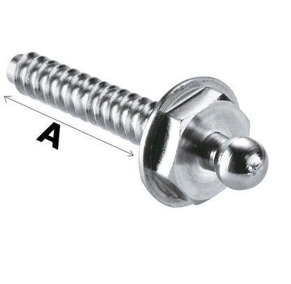 Bottone maschio Loxx vite autofilettante