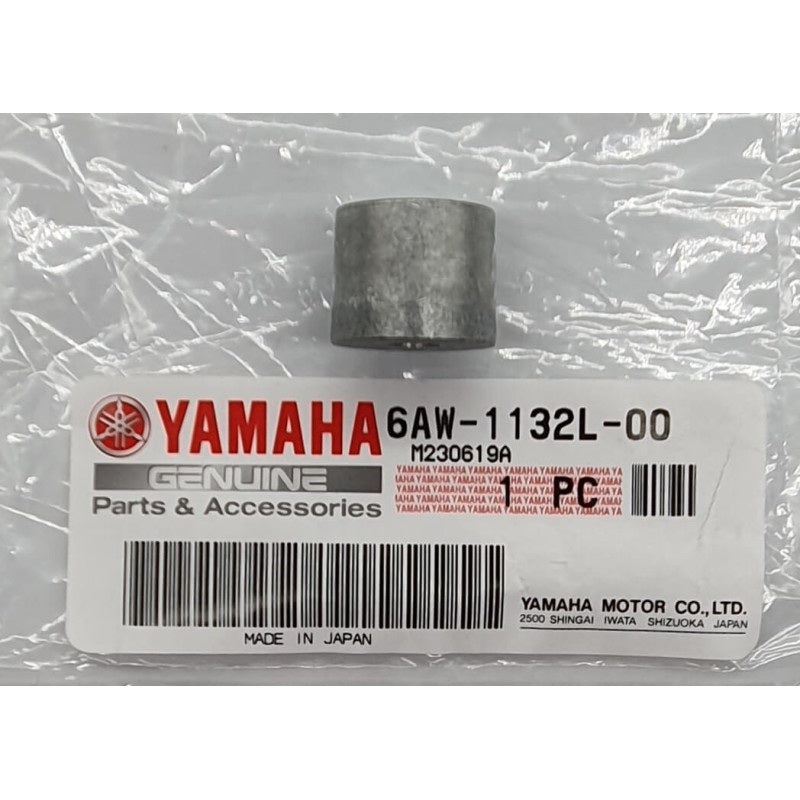 Anodo Yamaha 6AW-1132L-00