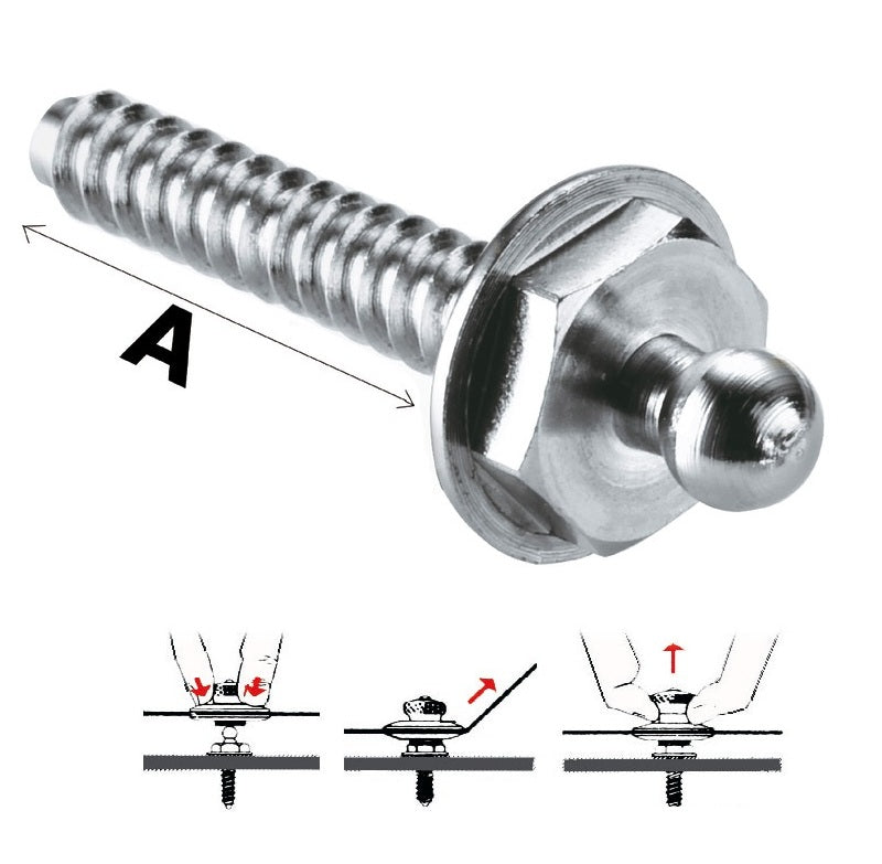 Bottone maschio Loxx vite autofilettante