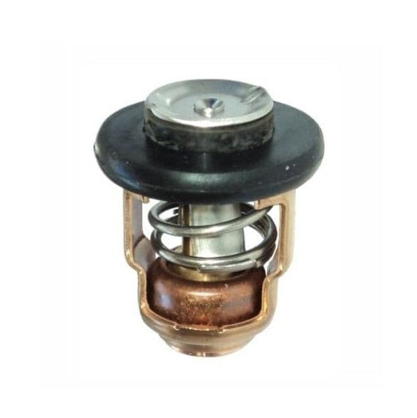 Termostato Yamaha 66M-12411-01