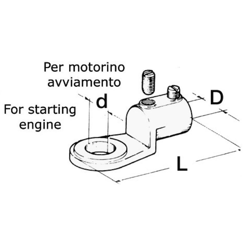 Terminale cavi batteria varie misure