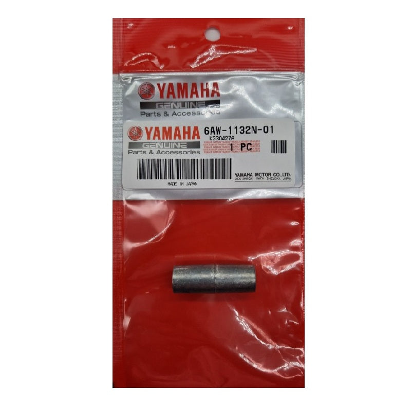 Anodo Yamaha 6AW-1132N-01