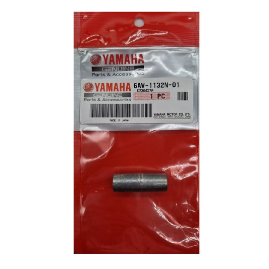 Anodo Yamaha 6AW-1132N-01