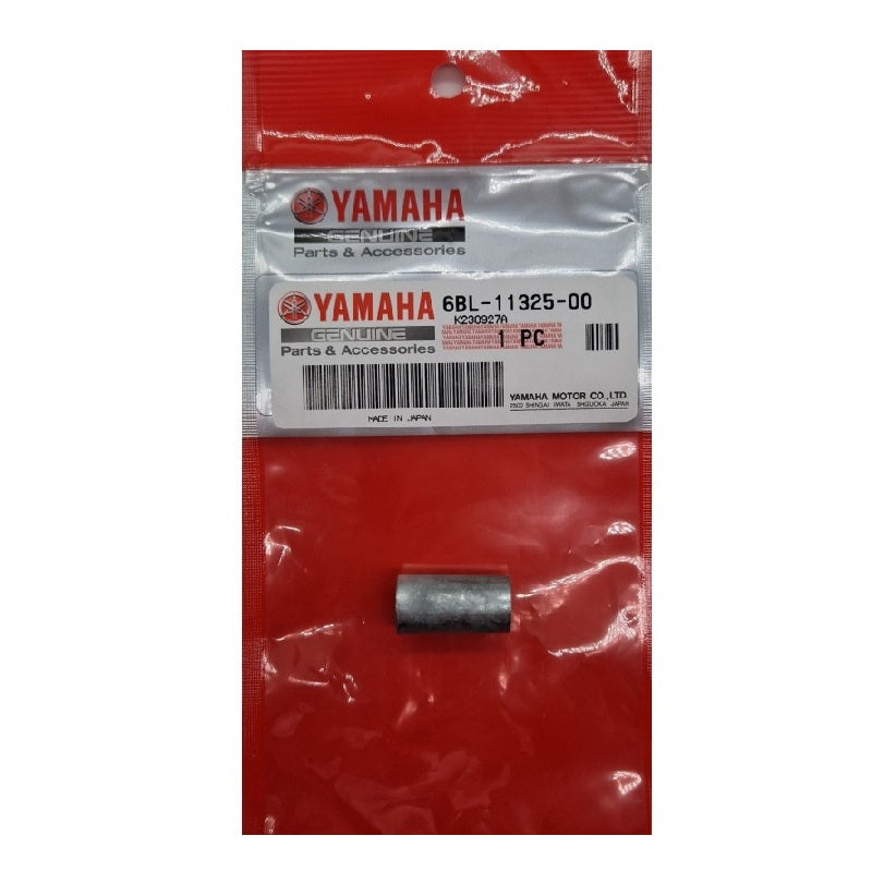 Anodo Yamaha 6BL-11325-00