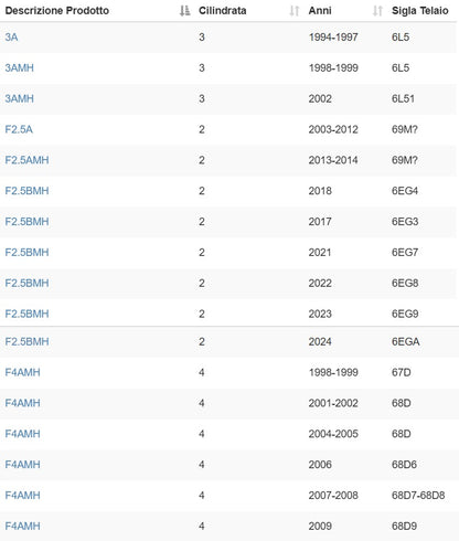 Filtro carburante Yamaha 6L5-24251-00